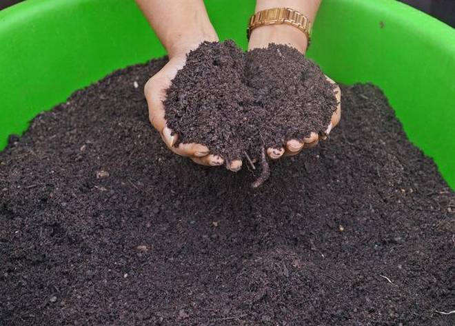 Organic Manure