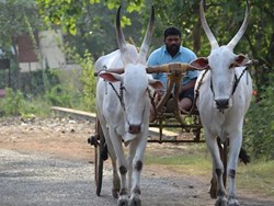 పింఛన్ల కోసం భారీగా దరఖాస్తులు.. దేశవ్యాప్తంగా 21.40 లక్షల మంది రిజిస్ట్రేషన్... ఎలా దరఖాస్తు చేసుకోవాలంటే?