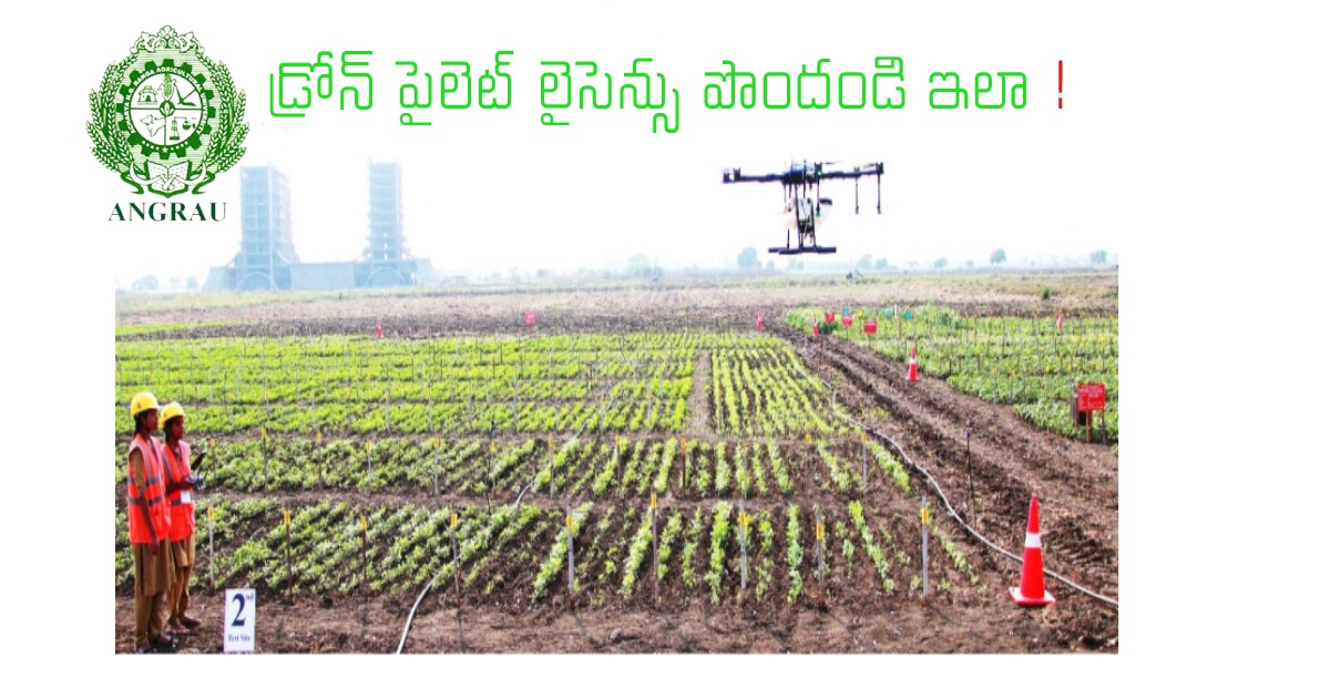 ఆచార్య ఎన్జీ రంగా యూనివర్సిటీలో డ్రోన్ పైలెట్ కోర్సు.. నవంబర్ 24 దరఖాస్తు కు చివరి తేదీ !