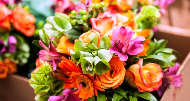Cut Flowers