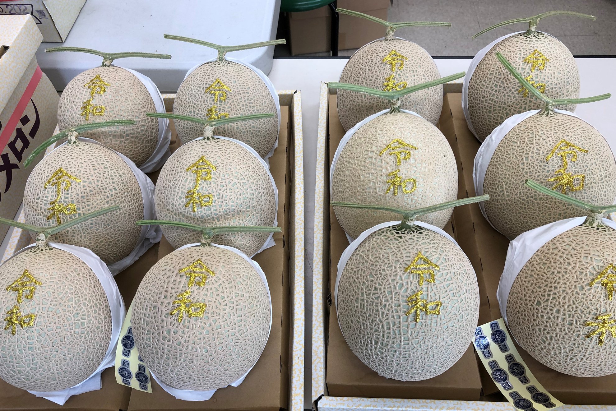 muskmelons