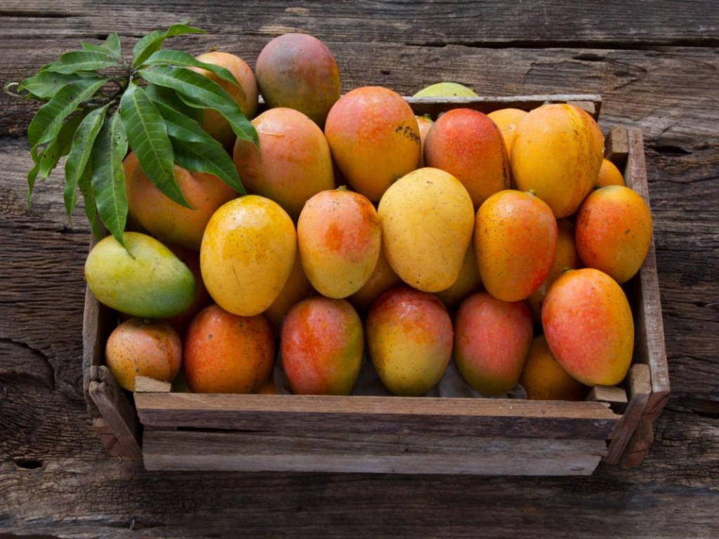 Super Tasty Mangoes