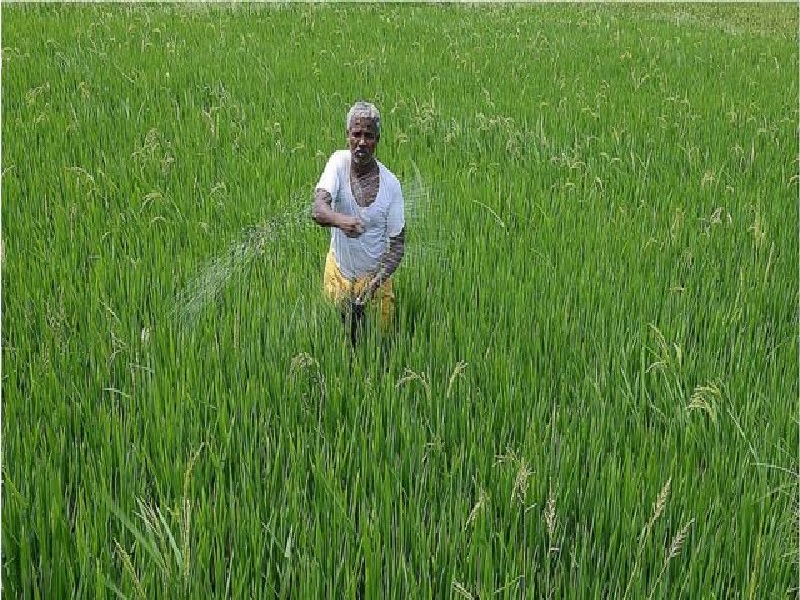 Farmers