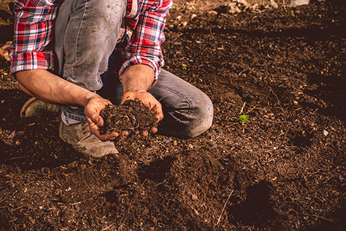 Soil Test