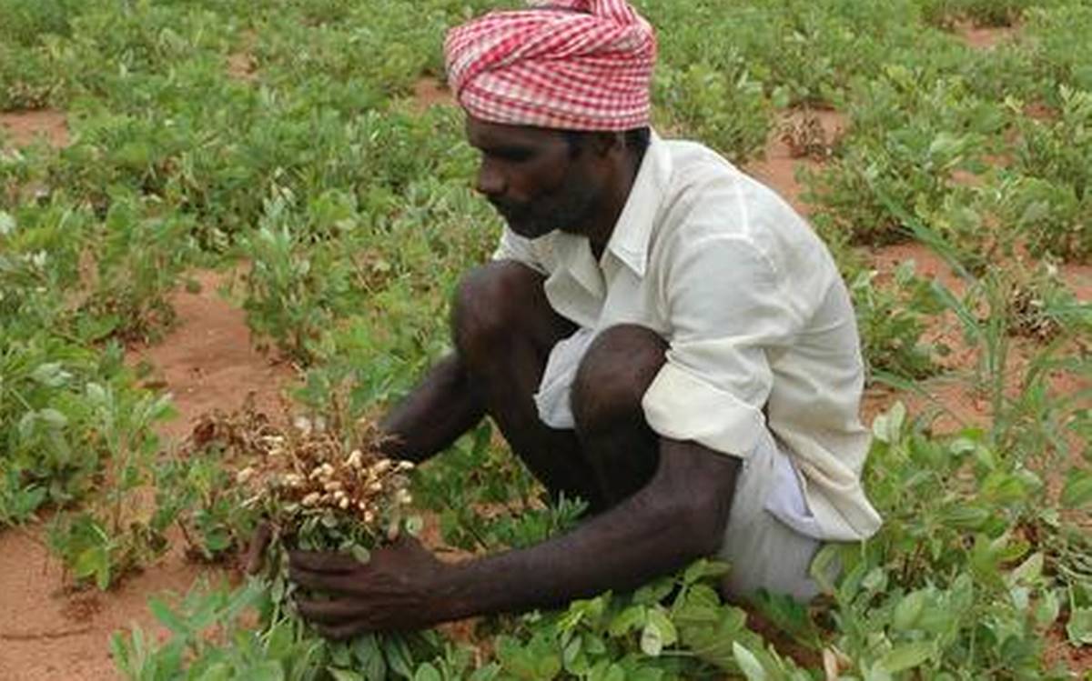 Farmer