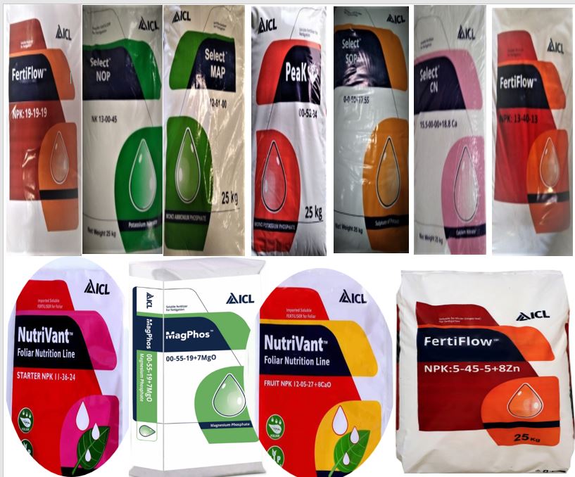 ICL Products