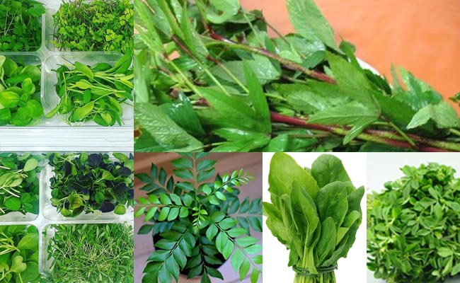 health benefits of having Leaf vegetable