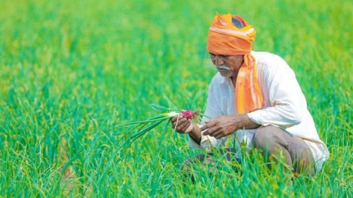 Farmer