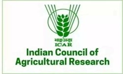 ICAR Recruitment 2022:ఇండియన్ కౌన్సిల్ ఆఫ్ అగ్రికల్చరల్ రీసెర్చ్ లో ఉద్యోగ ఖాళీలు.. నెలజీతం రూ.60,000/-