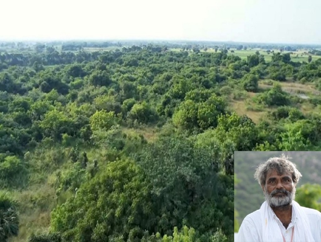 70 ఎకరాలు, 5 కోట్ల చెట్లు: ఏకంగా అడవినే సృష్టించిన సూర్యపేట వాసి -'దుశర్ల సత్యనారాయణ'