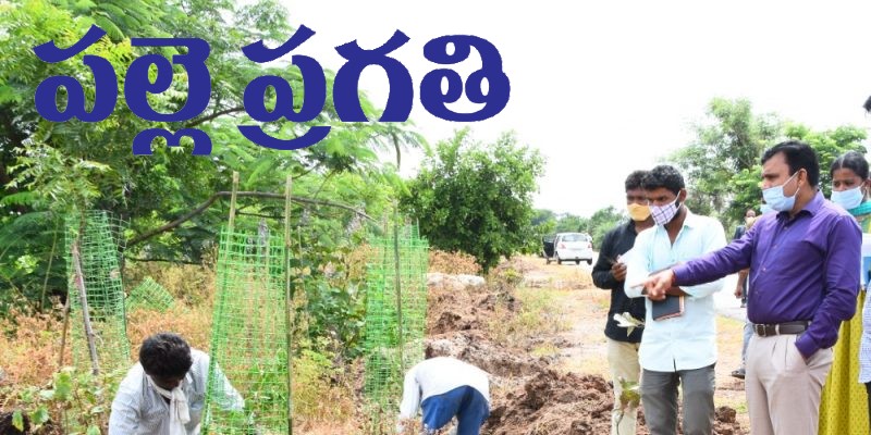 Palle Pragathi, Pattana Pragathi postponed