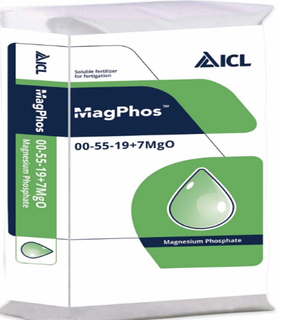 MagPhos