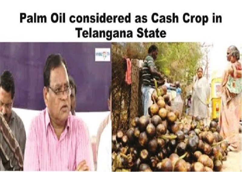 Palm oil