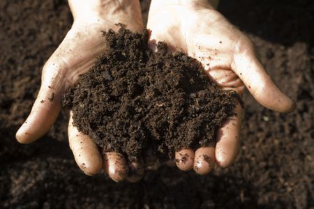 Soil Testing is Neccesary For Every Crop