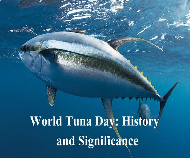 World Tuna Day