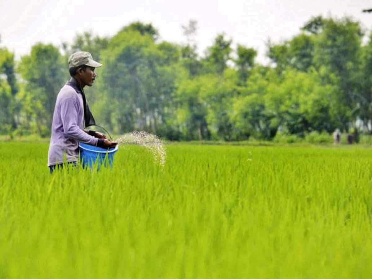 FERTILIZER